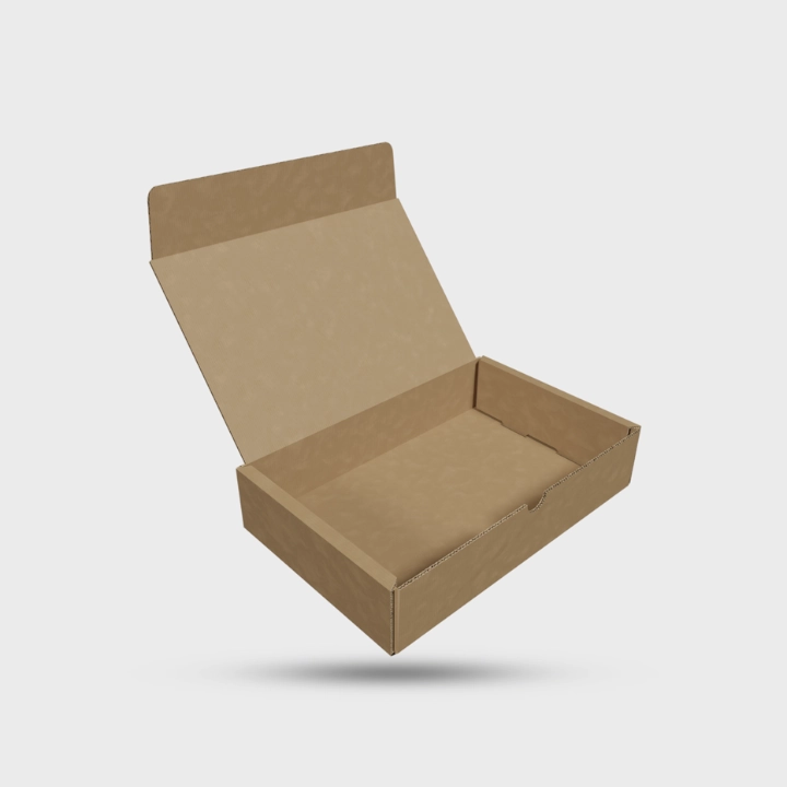 Literature Mailer Boxes